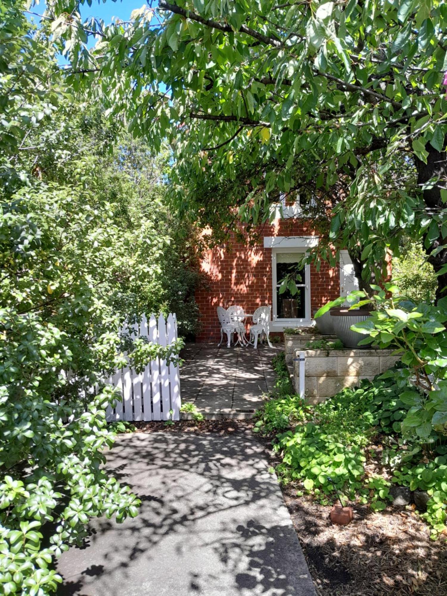 Annies Garden Cottage Hobart Eksteriør billede