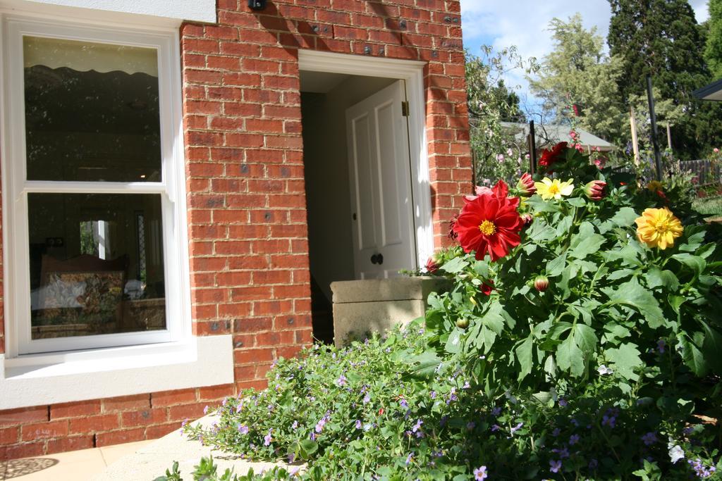 Annies Garden Cottage Hobart Eksteriør billede